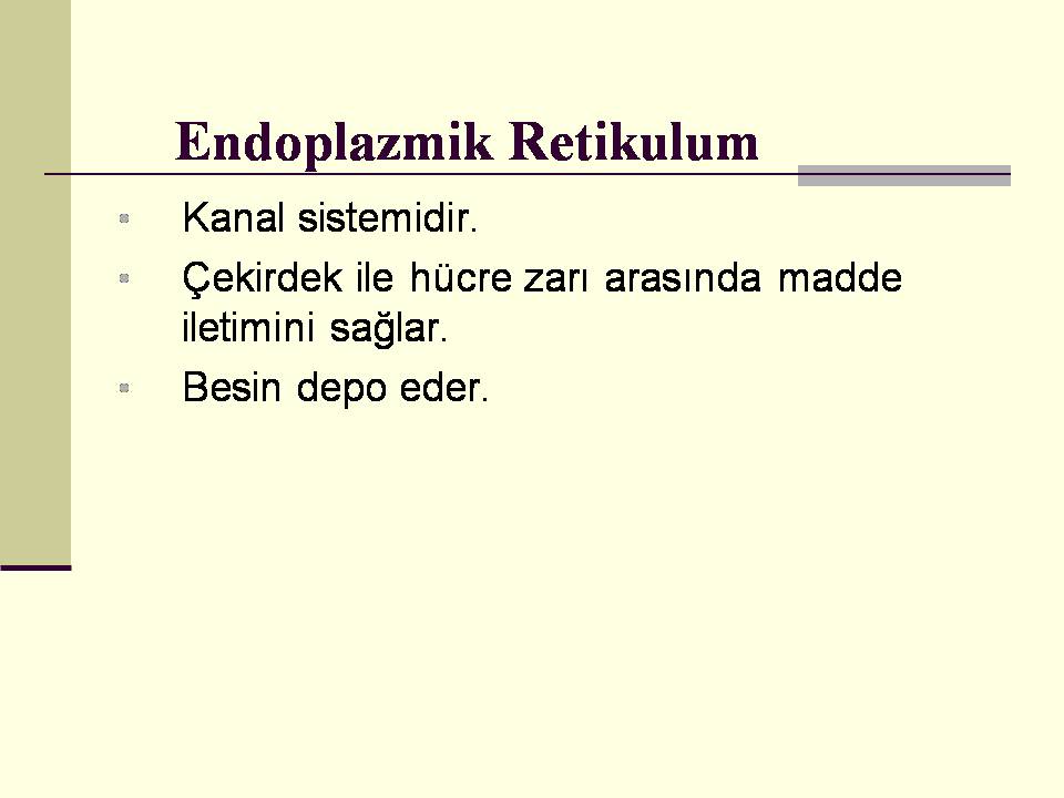 Endoplazmik Retikulum Gorevleri 6 Sinif Fen 2015 2016