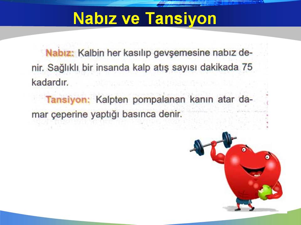 nabız ve tansiyon nedir